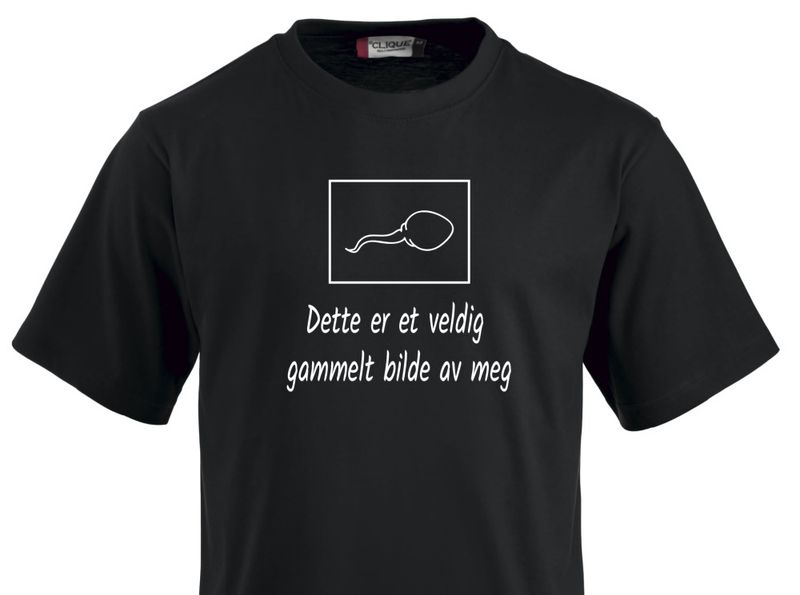 T- shirt  - Dette er et veldig gammelt bilde av meg