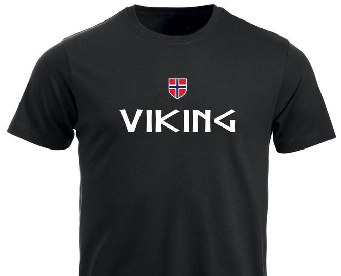 Hovedbilde T-shirt  -  Viking