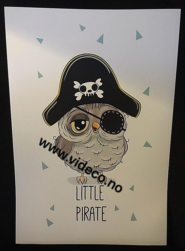 Little pirat, Bilde m/ramme
